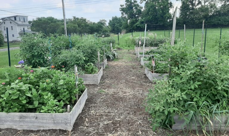 Community Garden